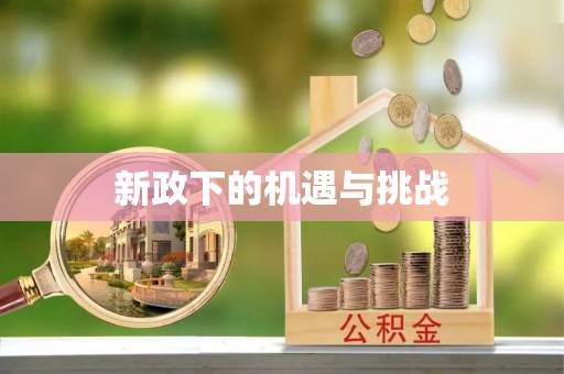 西秀新政下的机遇与挑战