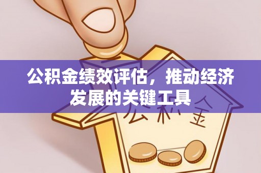 西秀公积金绩效评估，推动经济发展的关键工具