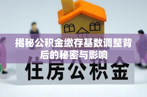 西秀揭秘公积金缴存基数调整背后的秘密与影响