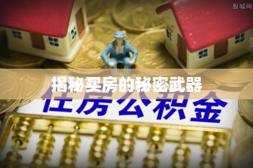 西秀揭秘买房的秘密武器
