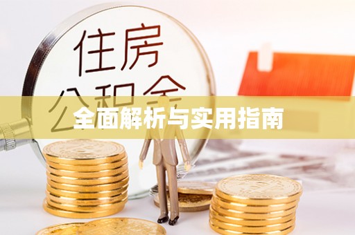 西秀全面解析与实用指南