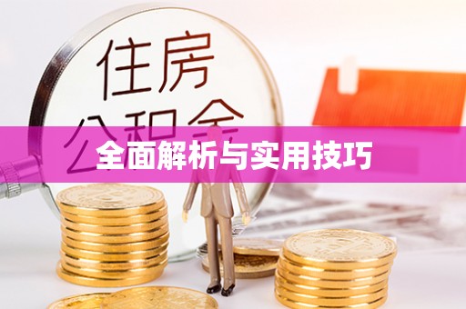 西秀全面解析与实用技巧