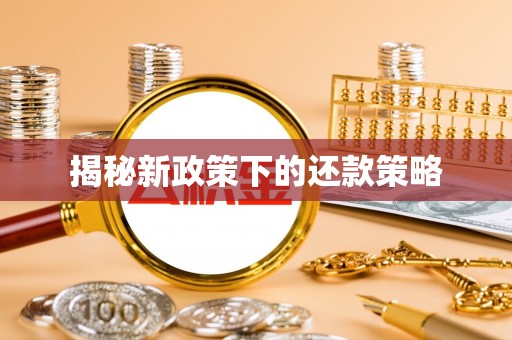 西秀揭秘新政策下的还款策略