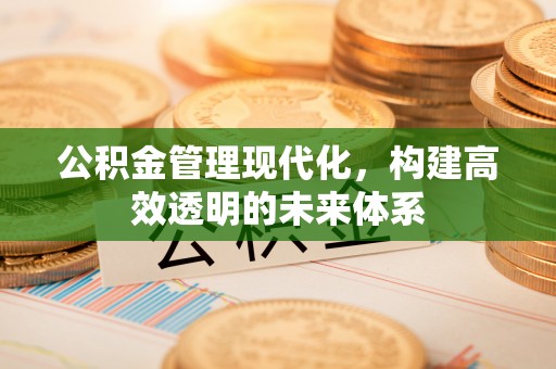 西秀公积金管理现代化，构建高效透明的未来体系