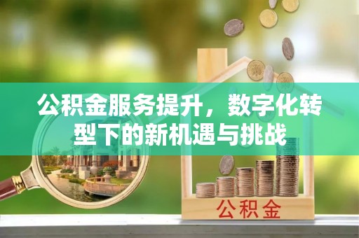 西秀公积金服务提升，数字化转型下的新机遇与挑战