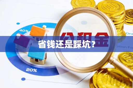 西秀省钱还是踩坑？