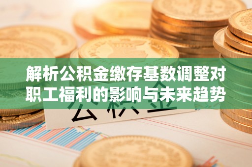 西秀解析公积金缴存基数调整对职工福利的影响与未来趋势