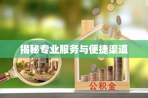 西秀揭秘专业服务与便捷渠道