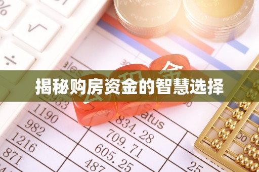 西秀揭秘购房资金的智慧选择