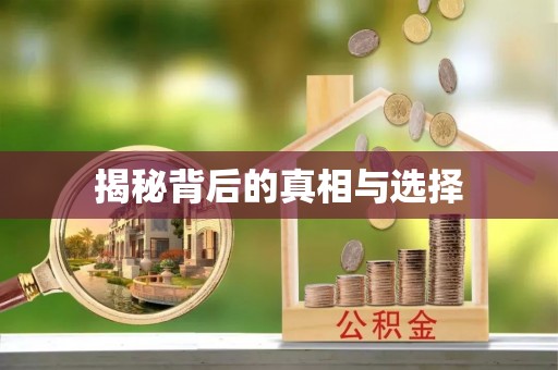 西秀揭秘背后的真相与选择