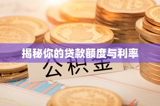 西秀揭秘你的贷款额度与利率