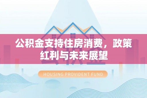 西秀公积金支持住房消费，政策红利与未来展望