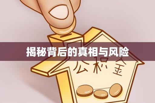 西秀揭秘背后的真相与风险