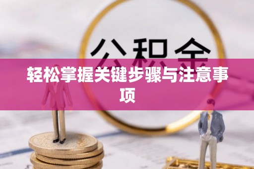 西秀轻松掌握关键步骤与注意事项
