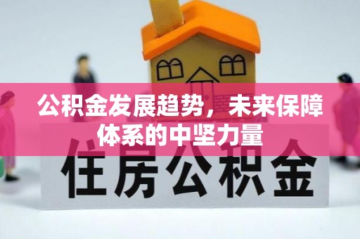 西秀公积金发展趋势，未来保障体系的中坚力量