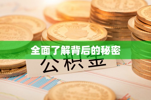 西秀全面了解背后的秘密