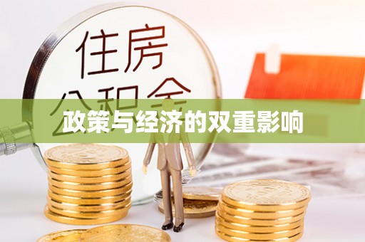 西秀政策与经济的双重影响