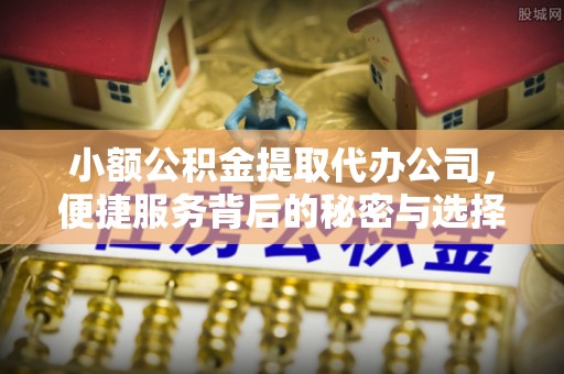 西秀小额公积金提取代办公司，便捷服务背后的秘密与选择指南