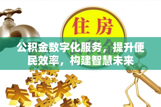 西秀公积金数字化服务，提升便民效率，构建智慧未来