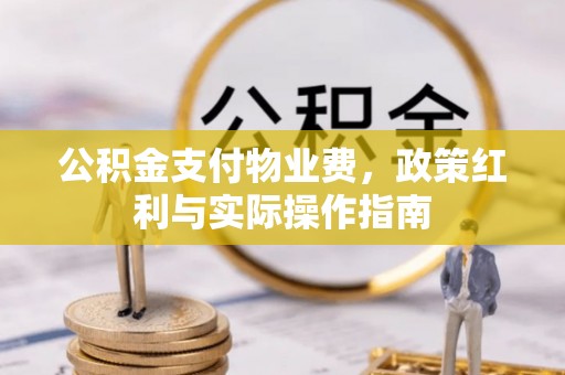 西秀公积金支付物业费，政策红利与实际操作指南