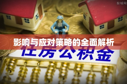 西秀影响与应对策略的全面解析