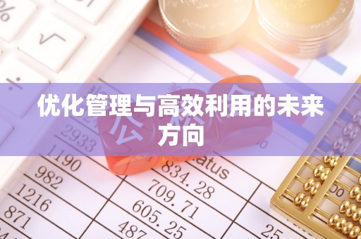 西秀优化管理与高效利用的未来方向