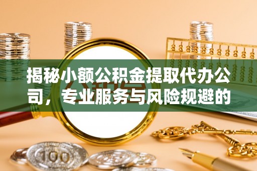 西秀揭秘小额公积金提取代办公司，专业服务与风险规避的平衡艺术