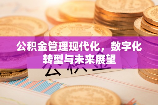 西秀公积金管理现代化，数字化转型与未来展望