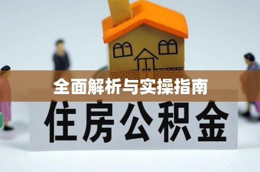 西秀全面解析与实操指南