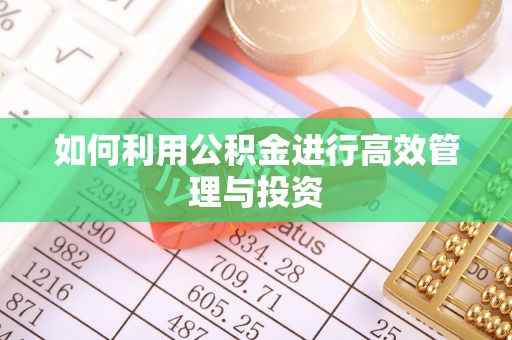 西秀如何利用公积金进行高效管理与投资