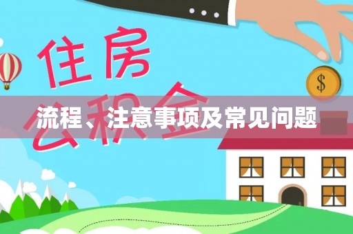 西秀流程、注意事项及常见问题