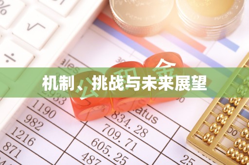 西秀机制、挑战与未来展望