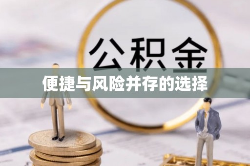 西秀便捷与风险并存的选择