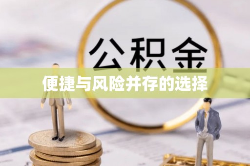 西秀便捷与风险并存的选择